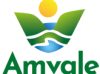 logo amvale 2